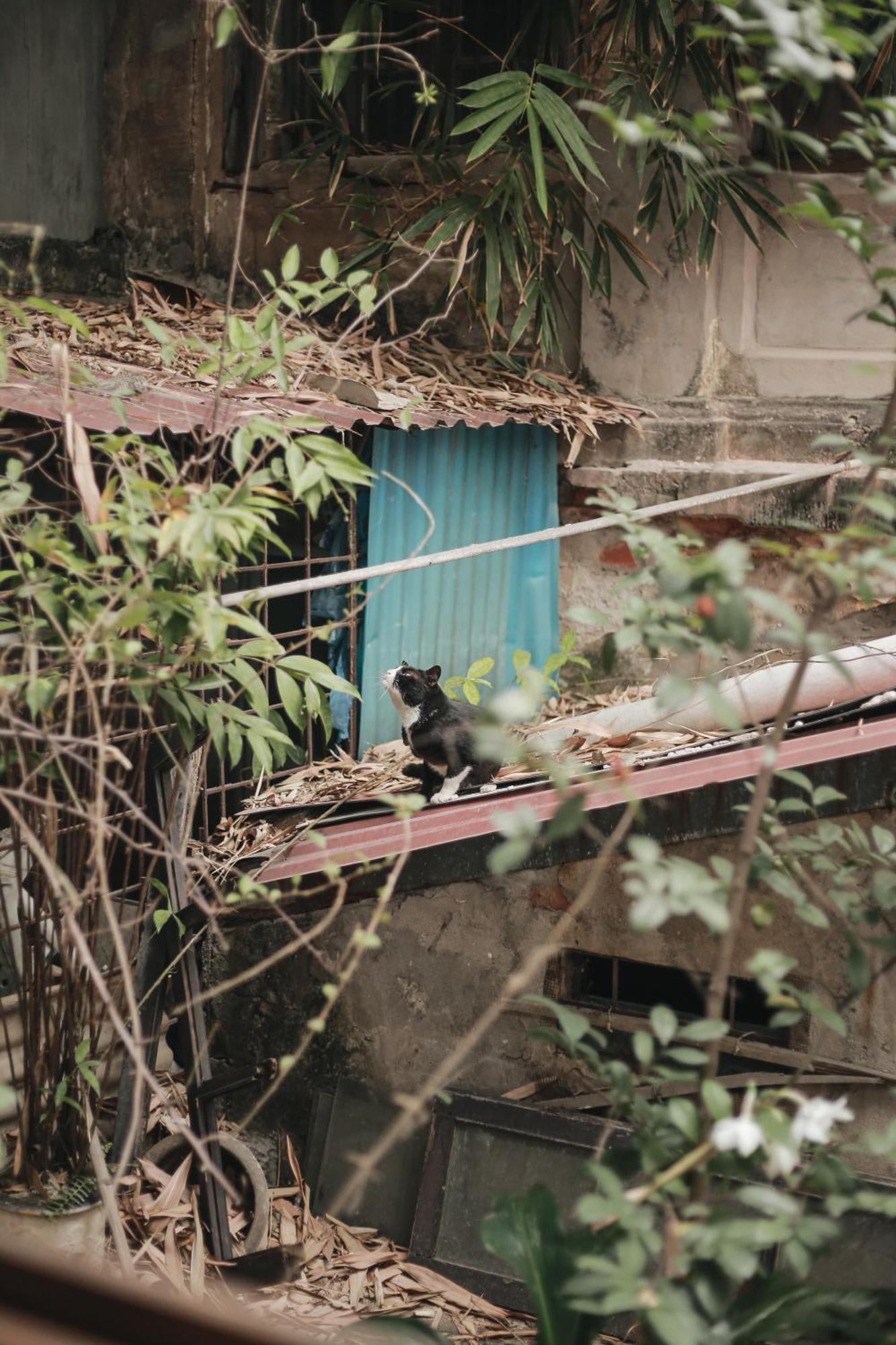 Hidden Gem Homestay 2 ハノイ市 エクステリア 写真