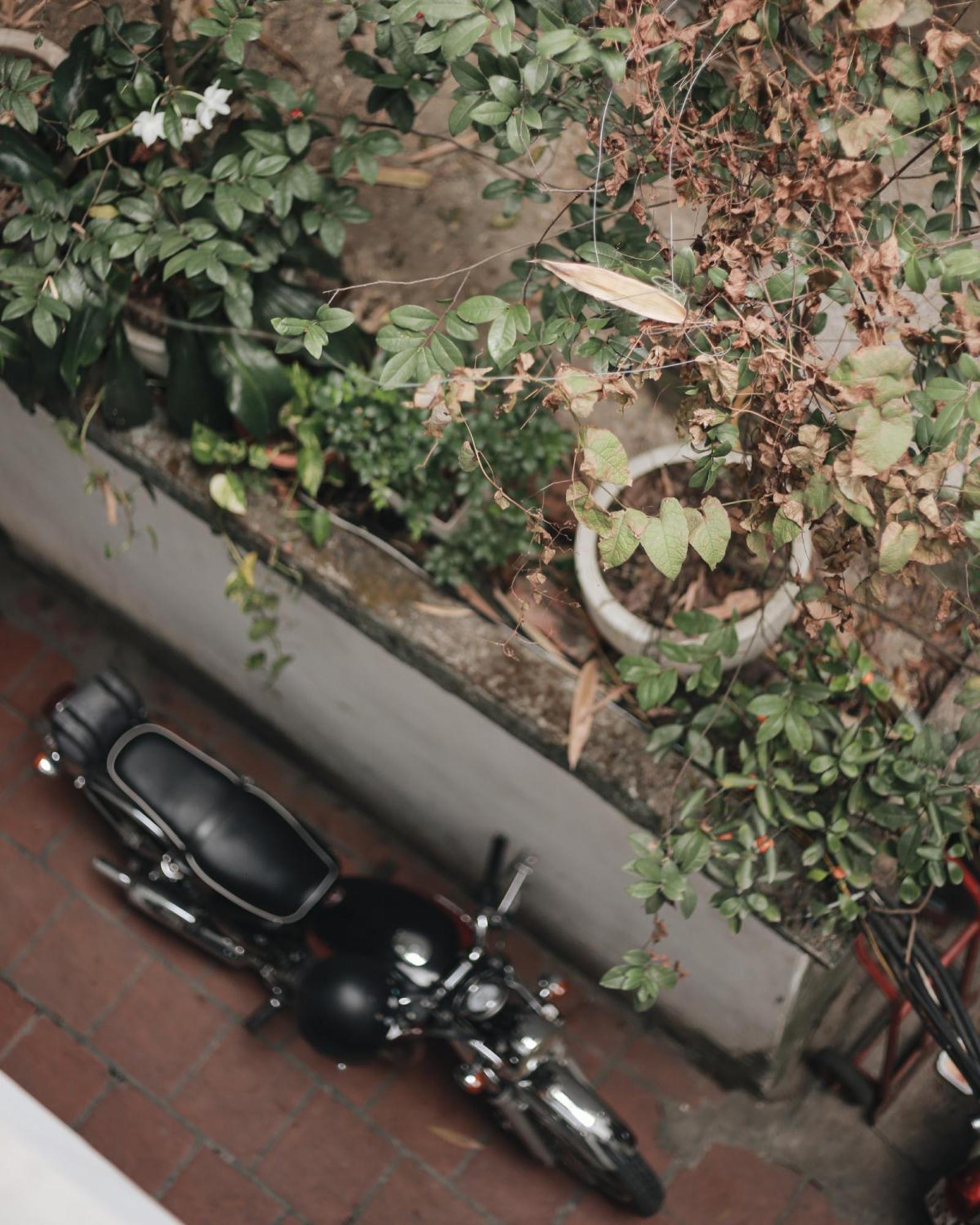 Hidden Gem Homestay 2 ハノイ市 エクステリア 写真