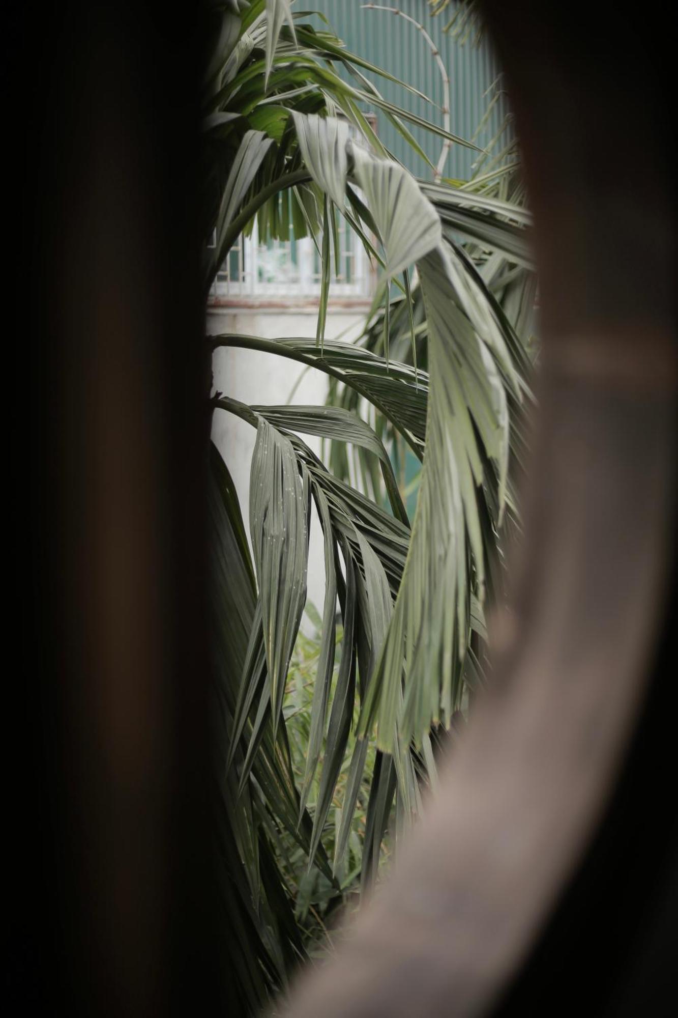 Hidden Gem Homestay 2 ハノイ市 エクステリア 写真